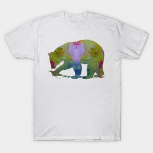 Bear T-Shirt